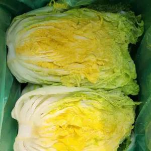 해남 절임배추 20kg 6-8포기 2절작업 국내산정제염 김장 절인배추