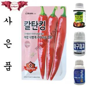 칼탄킹 1200립 더기반 26년 고추씨앗