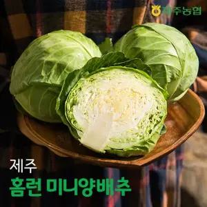 제주 홈런 미니 양배추 6kg(7-9개입)