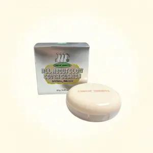 체이싱래빗 올어바웃 글로우 커버쿠션 파데프리 쿠션 CHASIN RABBITS 웜쿨착붙