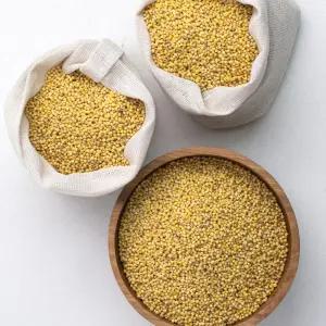 국산 찰기장 10kg (5kg+5kg) 기장쌀 25년산 -[정성든농수산]