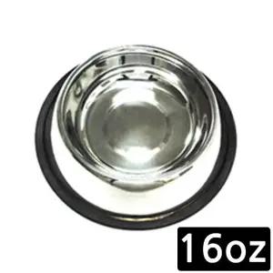 고품질 강이지식기 16oz 식기 스텐 (WFJQJZ0)