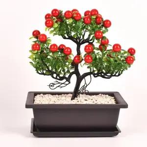 모던심플 다육이 미니사각 다크닉화분 1212 화분 (WFJ5X2K)