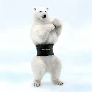 닥터바디핏 허리 압박 보호대 복대 밴드 헬스 일상