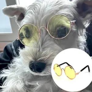 강아지 고양이 선글라스 옐로우 여행 애견 템 사진 아이템 WFINSK0