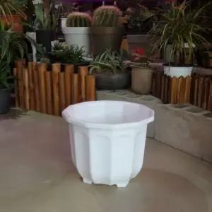 ksr 12각 플라스틱 화분 (8호) 29x22cm 화이트 (WFJ7PQI)