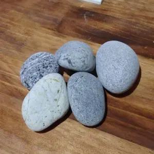 동글동글 에그스톤(50-70mm 대) 5알 동글동글 에그스톤 50 70 대 5알 화분 원예