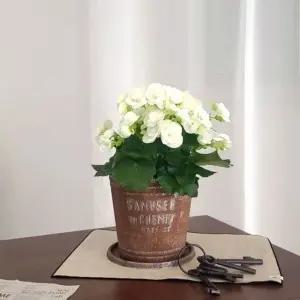 피클레온 양철 스타일 높은 원통 화분 (중) 23x21cm 아이보리 IV (WFKAF3M)