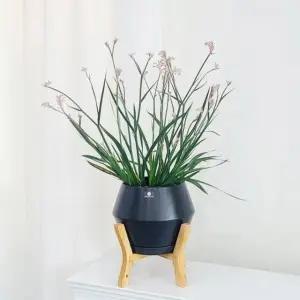 모던 도기 화분 UFO 우드스텐드 셋트 D17x17cm (WFKADMI)