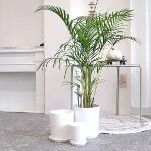 고강도 베이직 실린더 플라스틱 화분 D28x31cm (WFKAHDL)