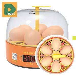 인공부화 계란부화기 6구 도구 조리 장비 관리 미니 알 교육용 자동회전 병아리 가정용 조류 부화기 달걀