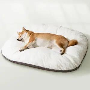 겨울용 반려베스트동물