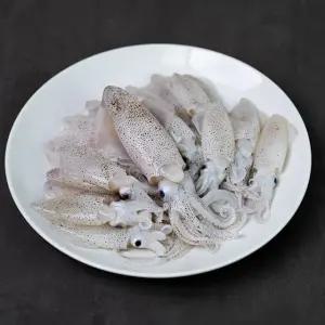 [신선하랑] 산지직송 쫄깃고소 횟감 호래기 500g (50미내외) 외