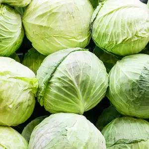 아삭 달달한 국내산 양배추 5kg 3통 내외