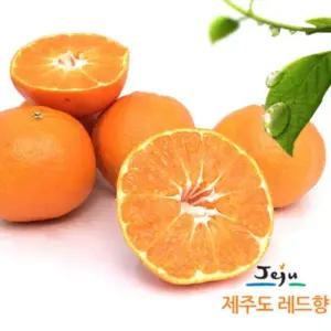 [올찬] 레드향(왕특대/특대) 5kg(13~23과)_제주직송