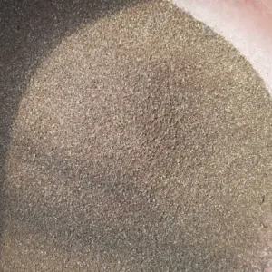 눈개승마씨앗 500립