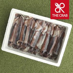 신진도 오징어 선동 초코오징어 30미 20미 서해안 신진항 생물 냉동오징