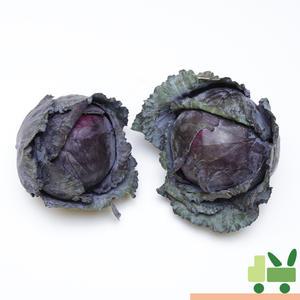 적양배추 (적채) 2등 5kg