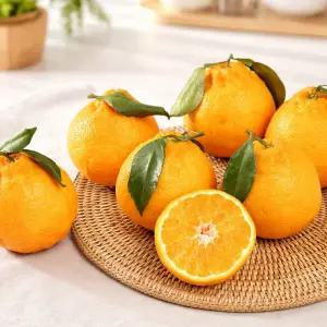 [햇살맞춤]산지직송 제주 못난이 한라봉 10kg  사이즈 랜덤 가정용 제주연가