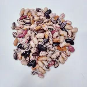 25년산강낭콩/국산(혼합)강낭콩/2kg