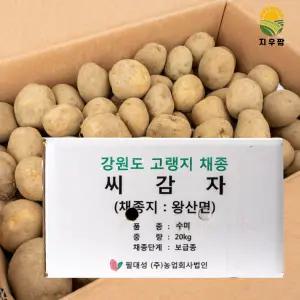 강원도 정품 씨감자 보급종 수미 20kg 주말농장 감자씨