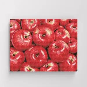 [아트박스]/아이러브페인팅 DIY캔버스형 보석십자수 40x50cm 행운의 홍사과