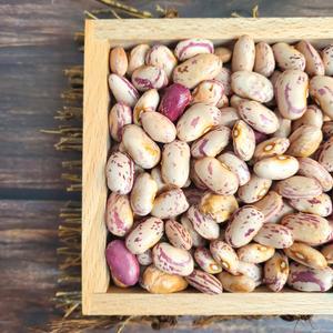 농랑부랑 품질보장 2024년 국산 호랑이 강낭콩 강남콩 1kg