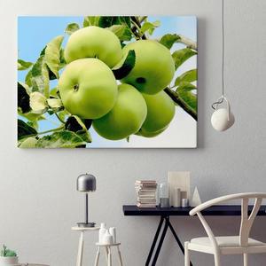 사과 No31 금전운을 부르는 청사과 액자 20호(73x53cm)