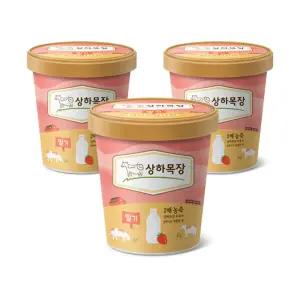 [제조일자23.05.17] 상하목장 아이스크림 딸기 (파인트), 474ml,  3개