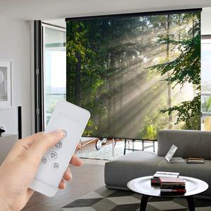 아라크네 전동스크린(리모컨포함) 블랙프리미엄 111인치