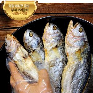 삼부자 영광 법성포 보리굴비 10미 30cm내외