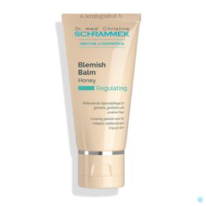 닥터슈라멕 블레미쉬 밤 비비 크림 BB 톤업 03 허니