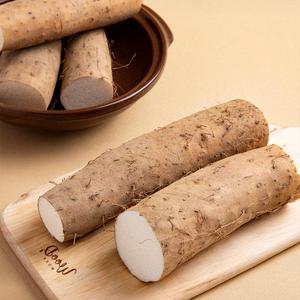 국내산 햇마 장마 상품(선물용) 2kg 산마 참나 안동마 진주마 뮤신