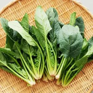 국내산 시금치 1kg 내외 달큰한 제철 시금치 (제주/도서산간 발송 불가)