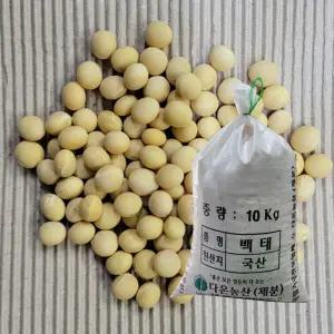 [다온농산] 2025년산 국산 백태/메주콩/흰콩/두부콩 -10Kg- (강원도 홍천,인제 농가)