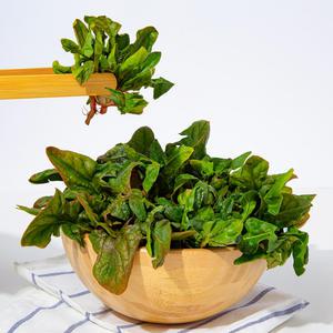 [더조은푸드] 국내산 싱싱한 무안 노지 시금치 2kg 4kg