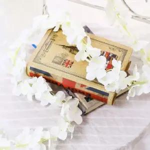 고품질 조화넝쿨 2M 화이트 드라이플라워 베란다 카페 꽃 홈카페 (WFHNA6I)