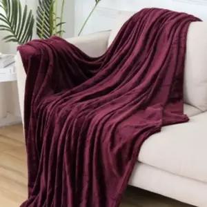 소프트극세사이불담요캠핑블랭킷150x200cm와인 (WFHWQFW)