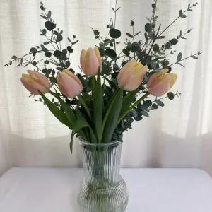 오후의 꽃 유칼립투스 블랙잭 구니 파블로 그린 초록 소재 생화