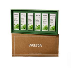 벨레다 1450 치약 6개 세트 집들이선물