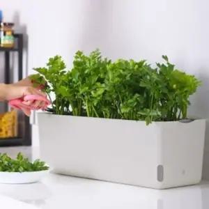 프레시가든자동급수화분상추토마토베란다텃밭 (WFHGATJ)