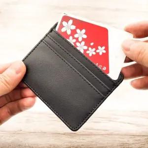 여행지갑 일본여행지갑 파우치 해외여행 카드 지갑 (WFGJQZ2)