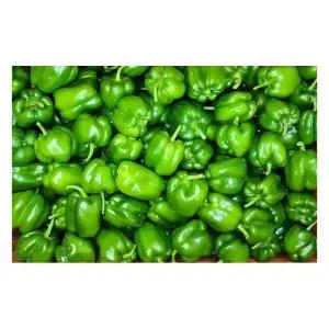 국내산 못난이 피망 청피망 상 5kg