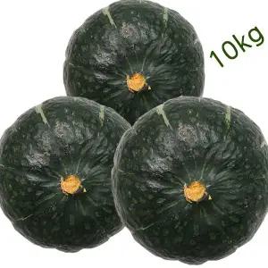 [무중력의자]국산 단호박10kg 못난이 단호박 랜덤과(5~8)