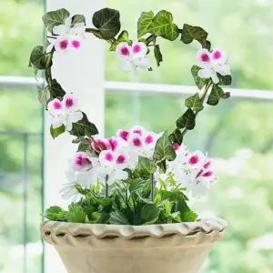 하트 식물 지지대 화분초 2p 세트 (WFJYBSJ)