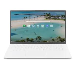 LG전자 LG그램 15ZD90RU-GX54K 16GB 256GB