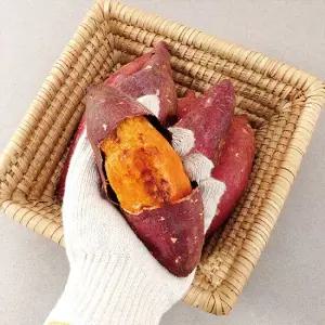 햇 호박고구마 호풍미 10kg 한입