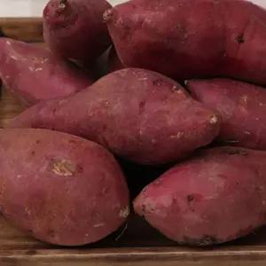 해남 꿀고구마 한입 3kg