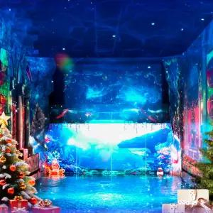 [제주] 워터월드제주 입장권  / 미디어아트 전시 체험