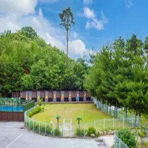 [강원] 양양 글램독 애견펜션(강원, 양양)